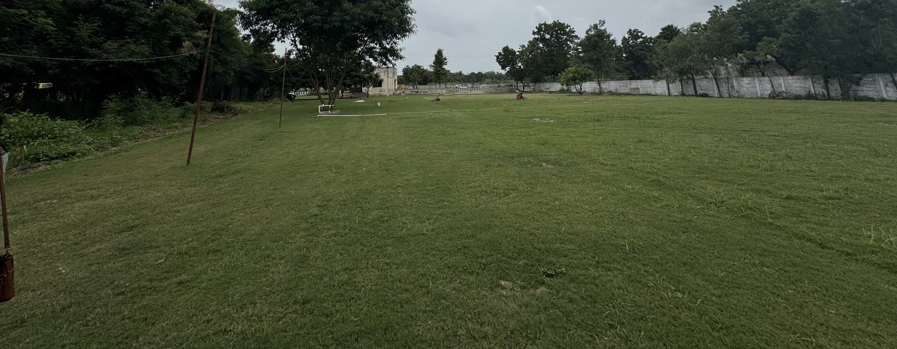 The open lawn at The Bougan Farm, with trees along the boundary under a cloudy sky
