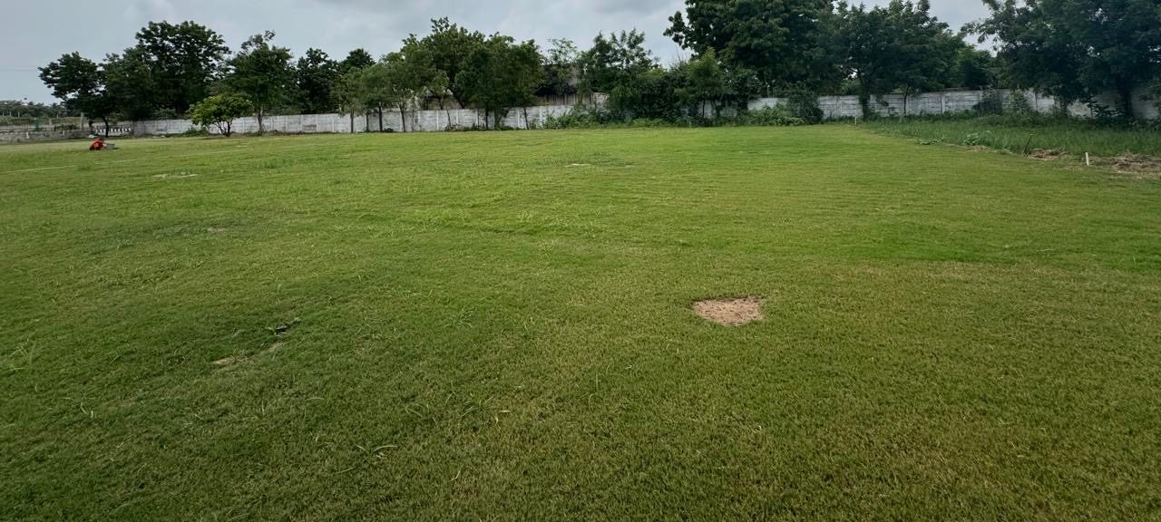 A wide view of the party lawn at The Bougan Farm